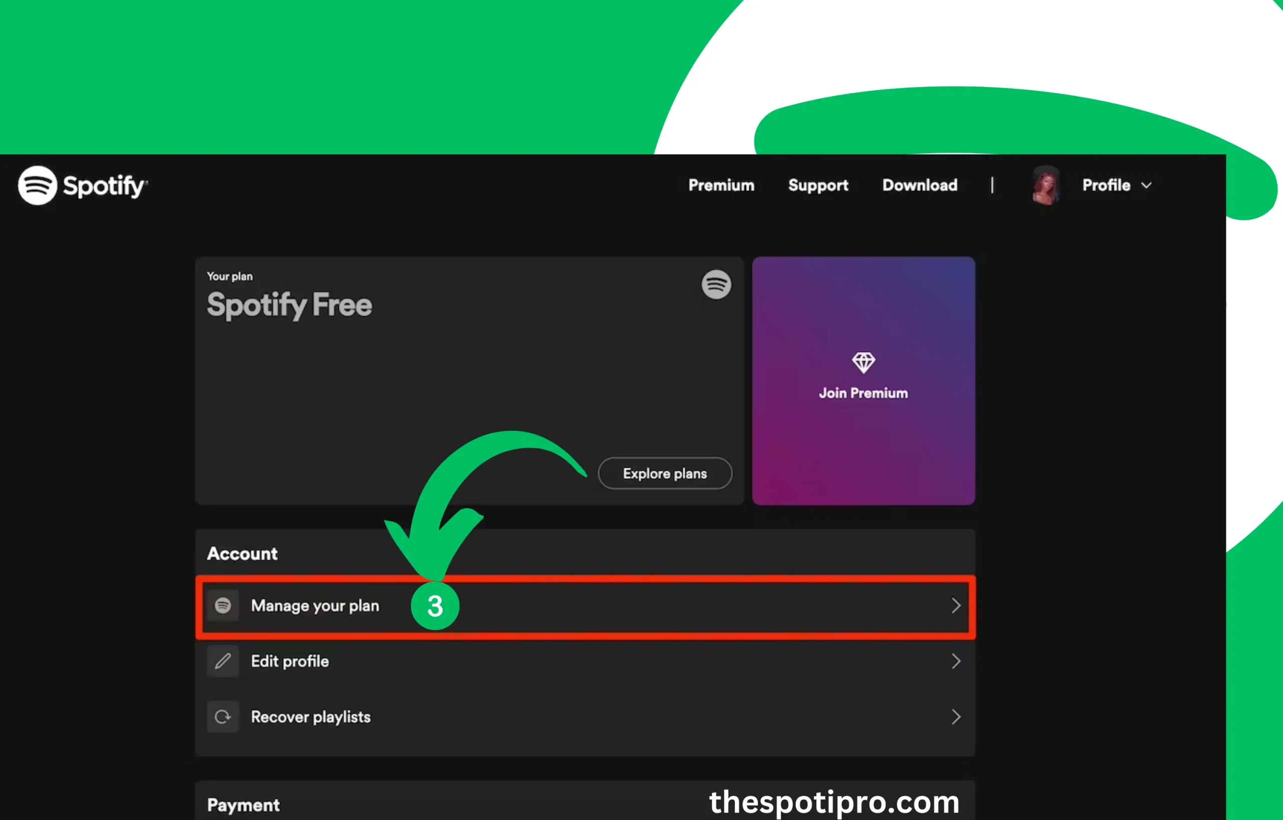 Spotify Payment Method on Computer Browser: